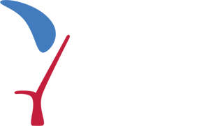 Association Française des Professeurs de Chinois