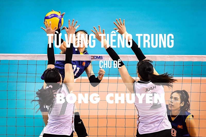 Từ vựng tiếng Trung chủ đề bóng chuyền