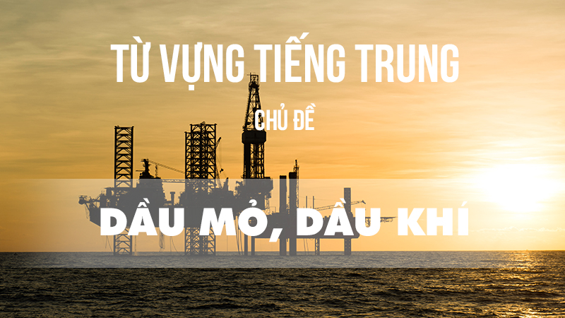 Từ vựng tiếng Trung chủ đề dầu mỏ, dầu khí