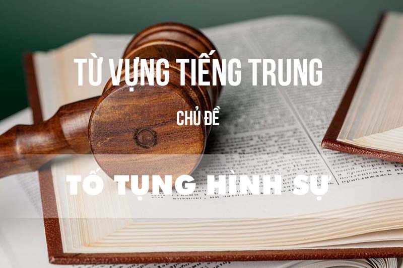 Từ vựng tiếng Trung chủ đề tố tụng hình sự