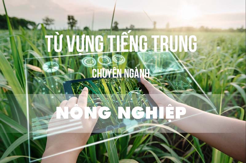 Từ vựng tiếng Trung chuyên ngành nông nghiệp