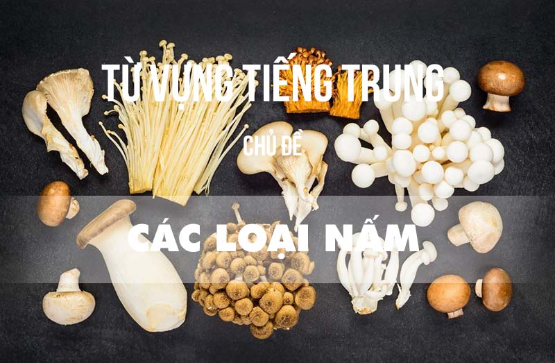 Từ vựng tiếng Trung về các loại nấm